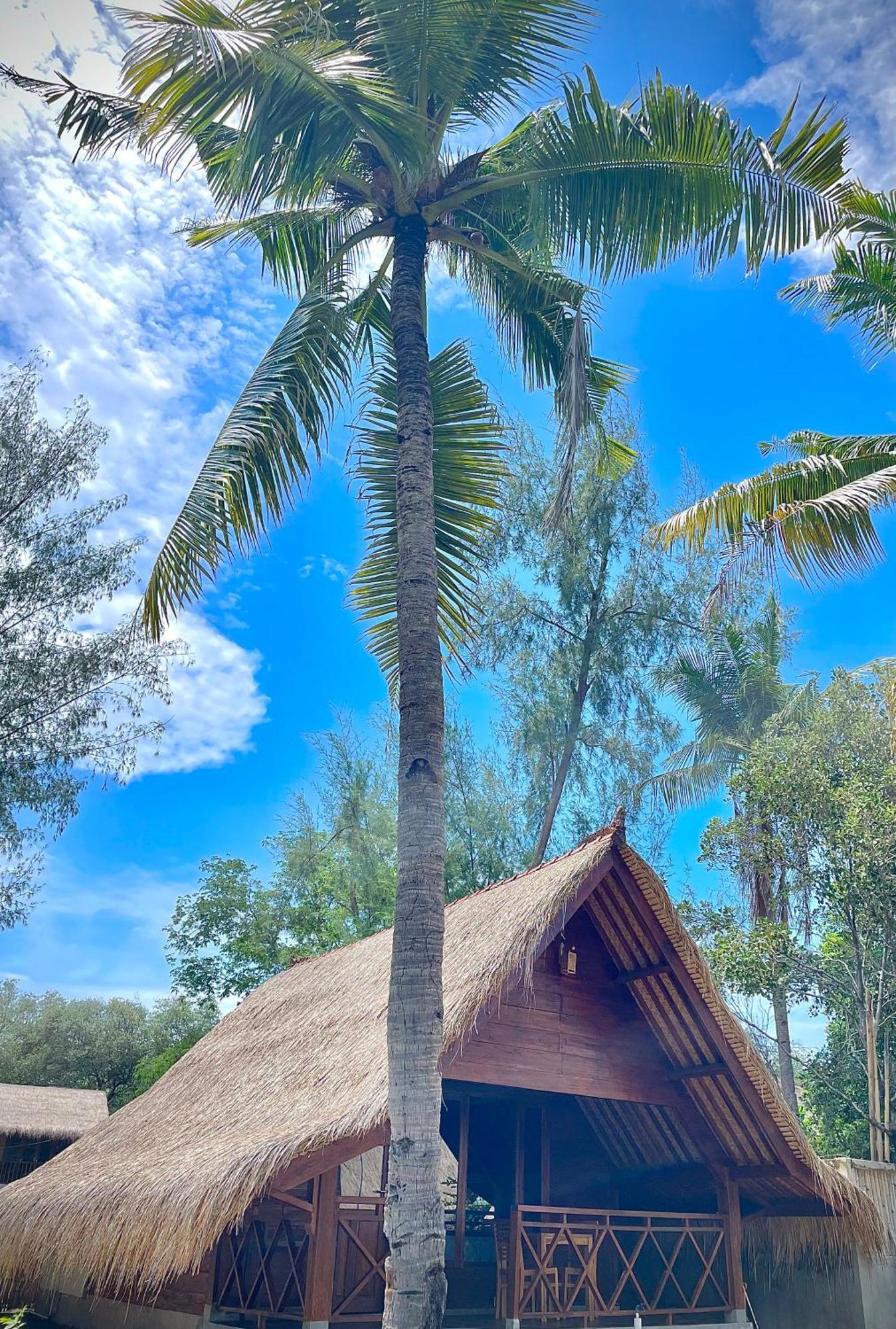 Saja Cottage, 吉利美诺 外观 照片